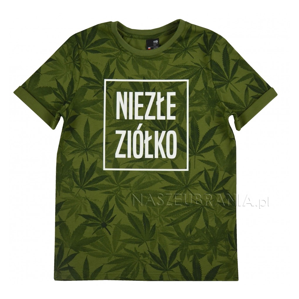 zielony / 1