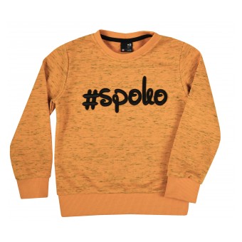 bluza chłopięca