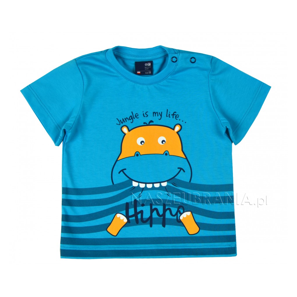 turquoise / 1