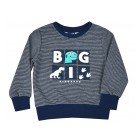 navy / 2