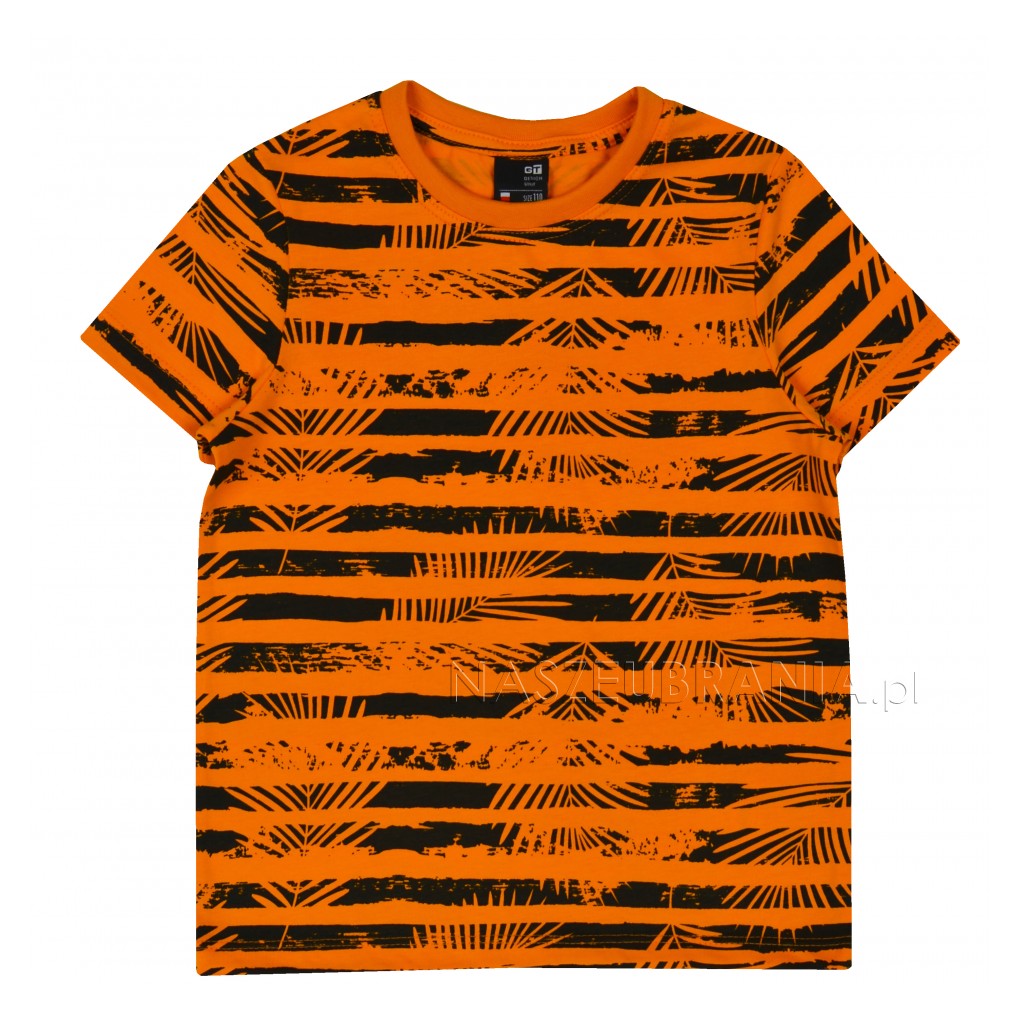 orange / 1