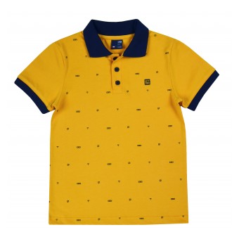 t-shirt polo