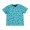turquoise / 1