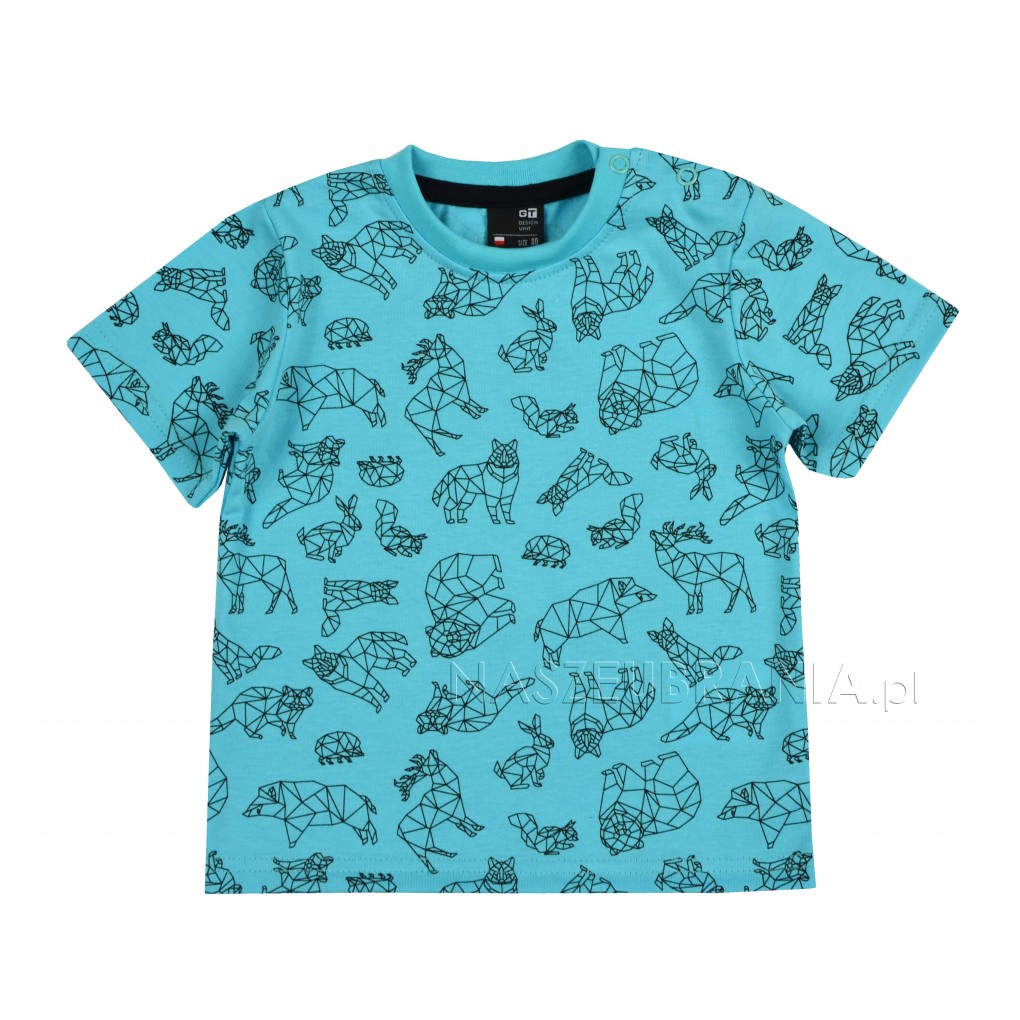 turquoise / 1