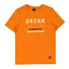orange / 1