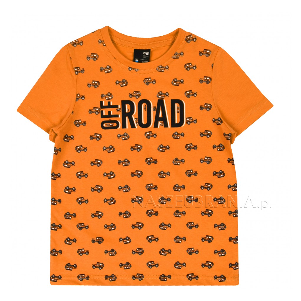 orange / 1