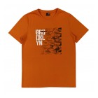 orange / 1