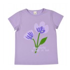 violet / 1