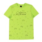 green / 2
