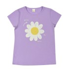 violet / 1