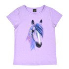 violet / 1