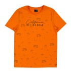 orange / 1