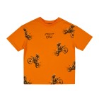 orange / 1