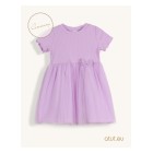 violet / 1