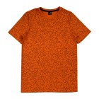 orange / 1