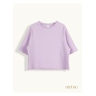 violet / 1