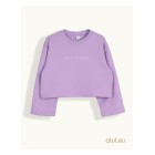 violet / 1
