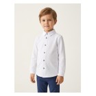 white / 1