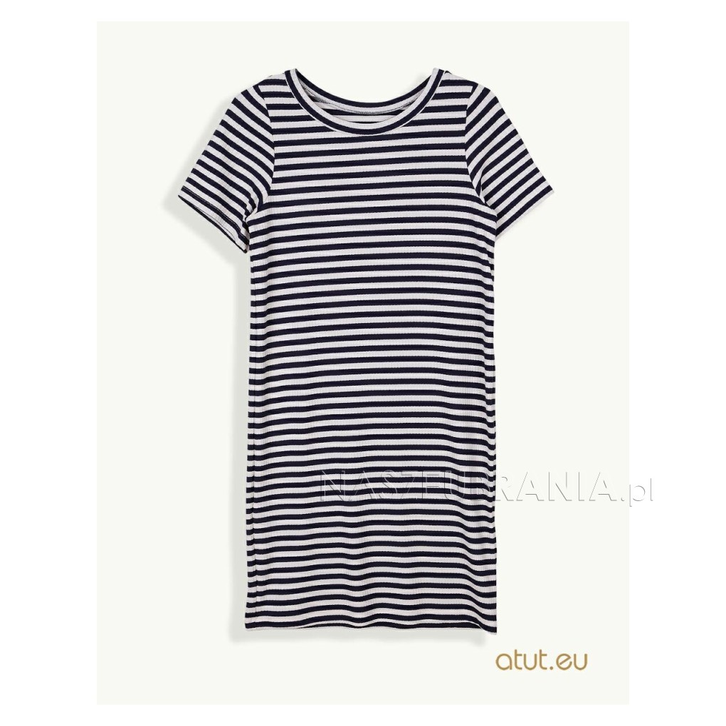navy / 1